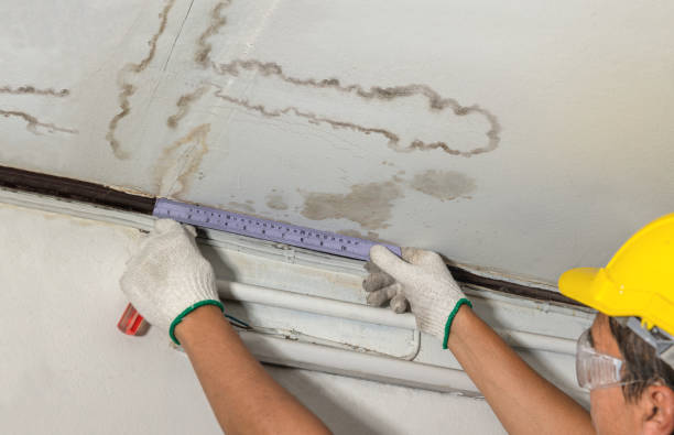 Reliable Water Damage contractor in Hillsboro, KS by Water Damage Irwin